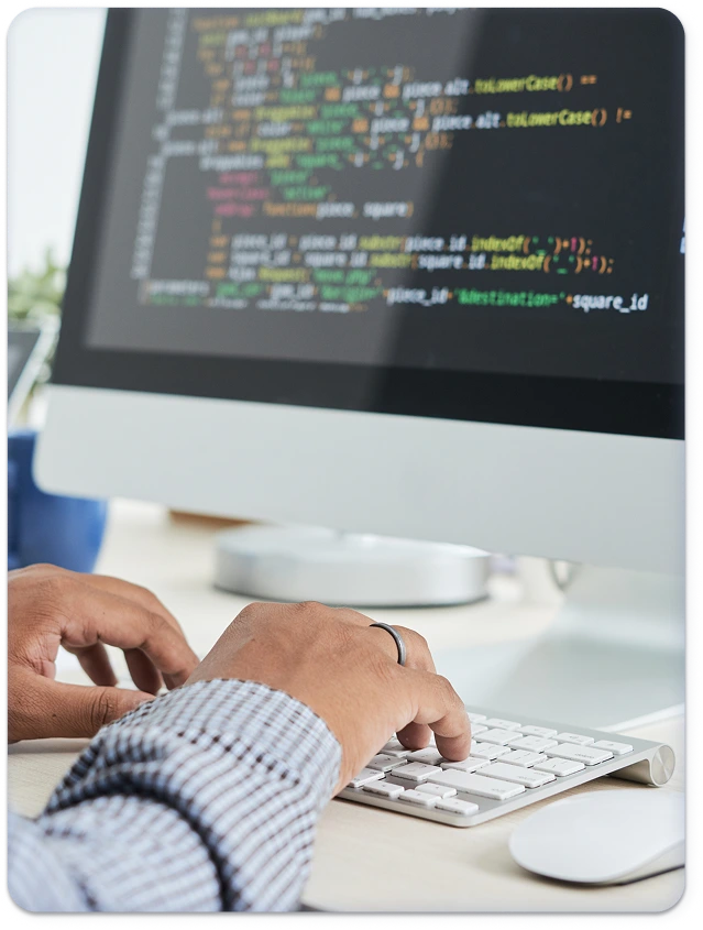 custom web application
